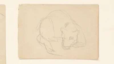Schetsblad met een katachtige