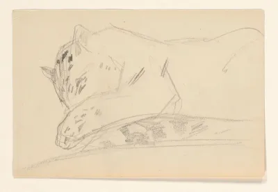 Schetsblad met een luipaard