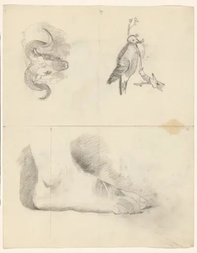 Schetsblad met een voet, een ramskop en een vogel op een tak