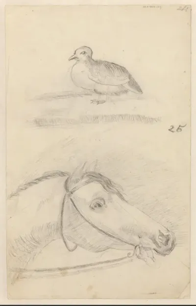 Schetsblad met een vogel en een paardenhoofd