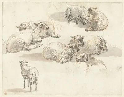 Schetsblad met groepen schapen