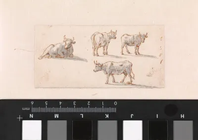 Schetsblad met koeien