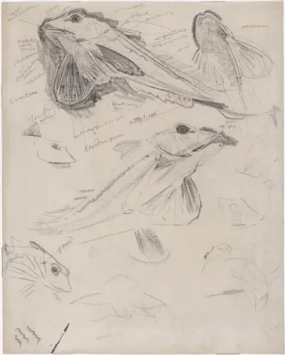 Schetsblad met ponen