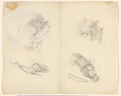 Schetsblad met schapen, een paard en een tulp