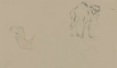 Schetsblad met studies van een kameel