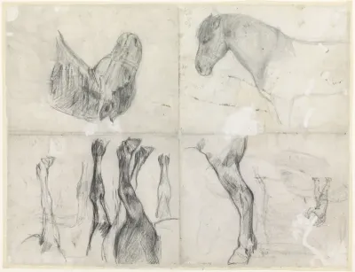 Schetsblad met studies van een paard