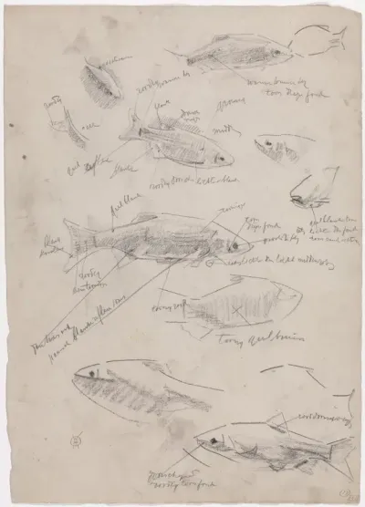 Schetsblad met studies van goudwinden