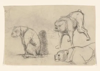 Schetsblad met studies van honden