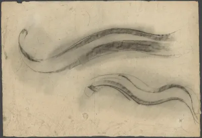 Schetsblad met studies van karpers