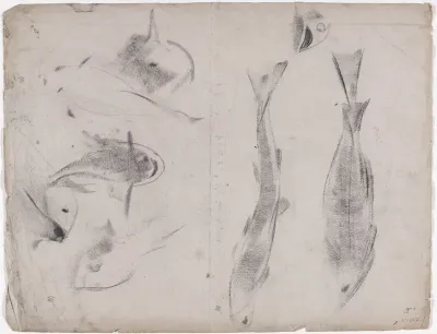 Schetsblad met studies van karpers, van voren