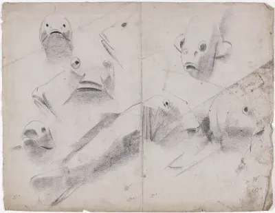 Schetsblad met studies van Karpers