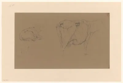 Schetsblad met studies van koeien