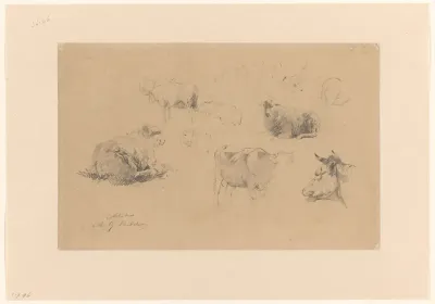 Schetsblad met studies van schapen en koeien