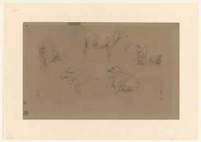 Schetsblad met studies van schapen