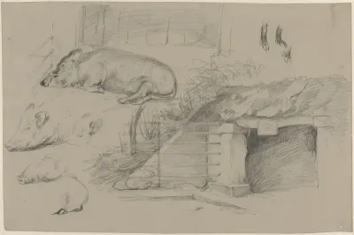 Schetsblad met studies van varkens in het wilde zwijnspark in Artis