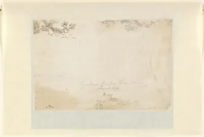 Schetsen van bomen of gebladerte