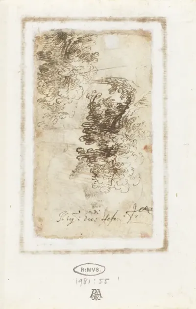 Schetsen van bomen