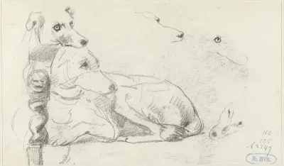 Schetsen van een hond, liggend op een stoel