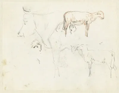 Schetsen van een koe en schapen