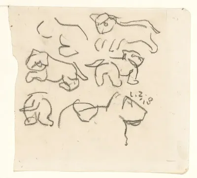 Schetsen van jong leeuwtje