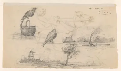 Schetsen van landschap en vogels