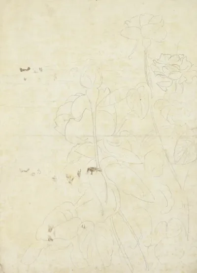 Schetsen van rozen (verso)