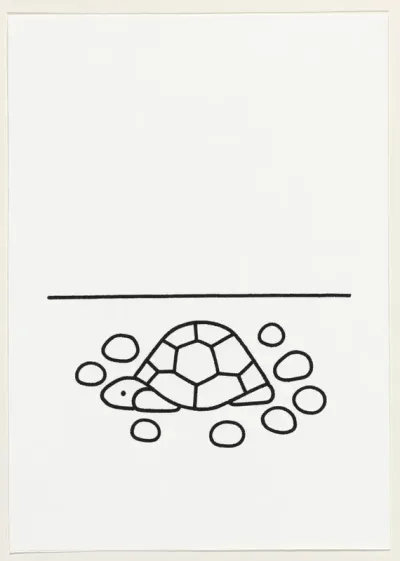 Schildpad
