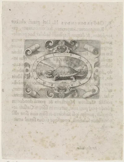 Schildpad in een cartouche