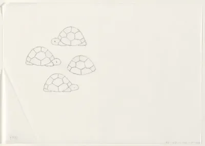 Schildpadden (schets)