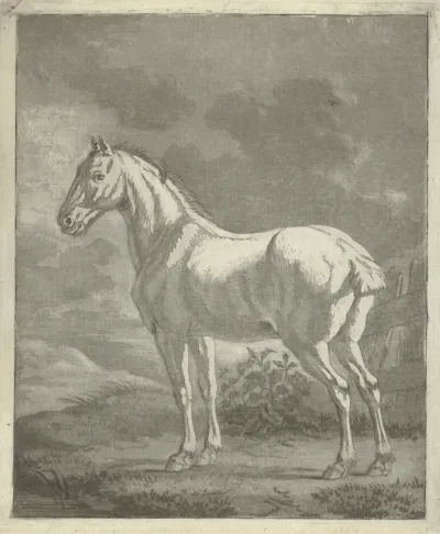 Schimmel in een wei