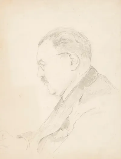 Schmidt-Degener