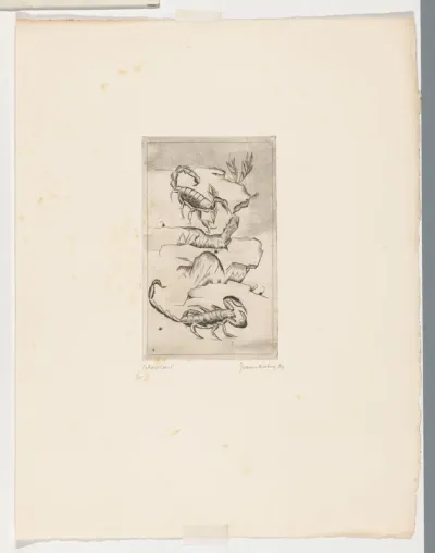 Schorpioen