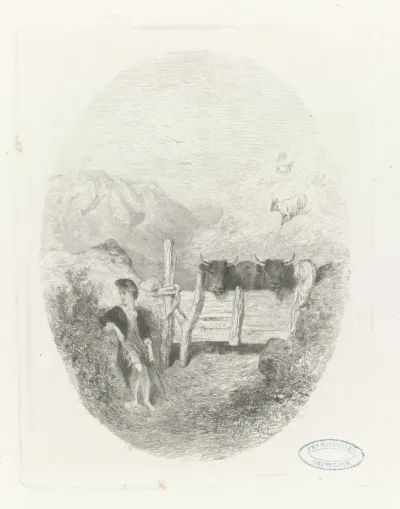 Schotse herder