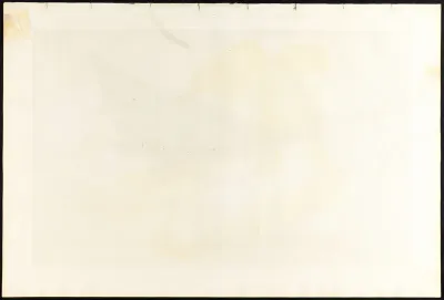 Scolopaceus Courlan