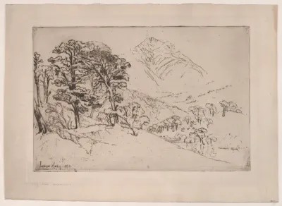 Scotch Firs, Inveroran