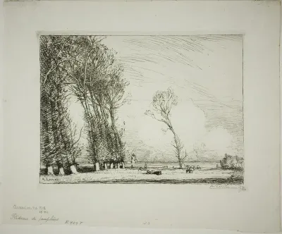 Screen of Poplars