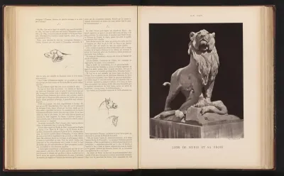 Sculptuur 'Lion de Nubie et sa proie' door Auguste Cain
