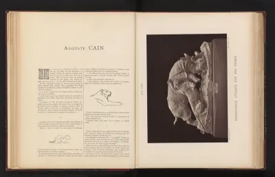 Sculptuur 'Rhinoceros attaqué par des tigres' door Auguste Cain