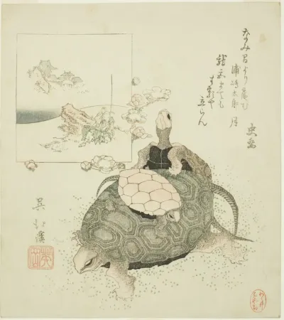 Sea turtles and Urashima Taro