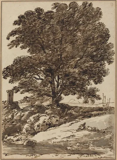 Seacoast with a Great Tree
