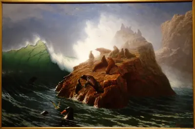Seal Rock