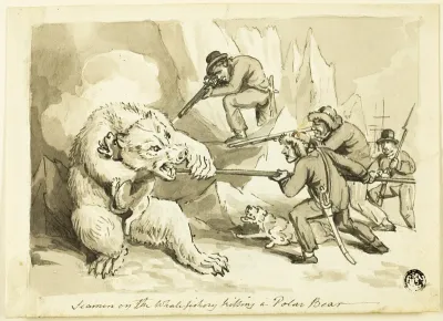 Seamen on the Whale Fishery Killing a Polar Bear (recto); Shell (verso)