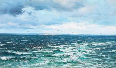 Seascape with resting seabirds off Æbelø.