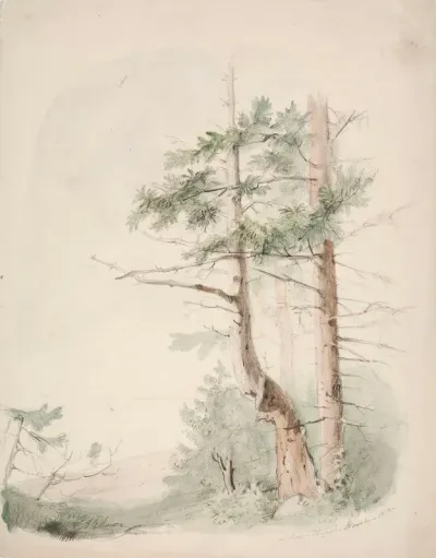 Seaside Landscape "Nagu-Hafverö-Norrby"