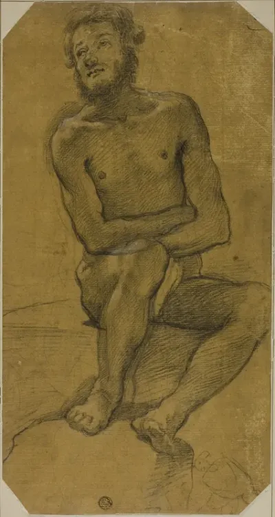Seated Male Nude