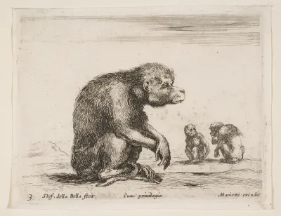 Seated monkey, plate 3 from "Various Animals" (Diversi Animali)