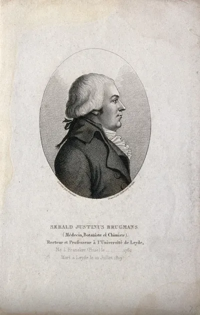 Sebald Justinus Brugmans