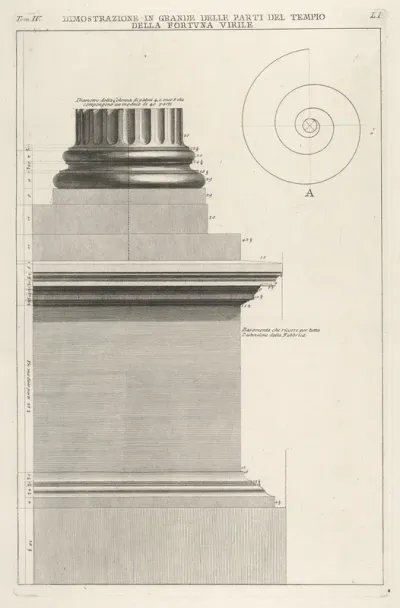 Section of column base from the Temple of Fortuna Virilis (Tempio della Fortuna Virile), from "Le Antichità Romane"
