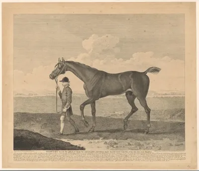 Sedbury het paard met jockey