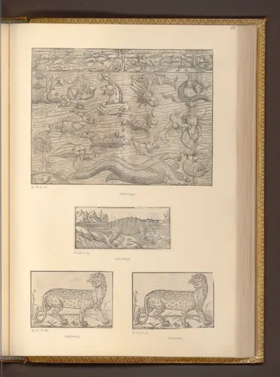 Seeungeheuer; Krokodil und Panther
